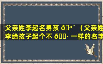 父亲姓李起名男孩 🪴 （父亲姓李给孩子起个不 🌷 一样的名字）